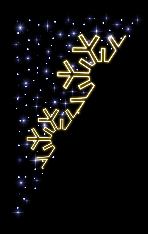 CGS004 - 