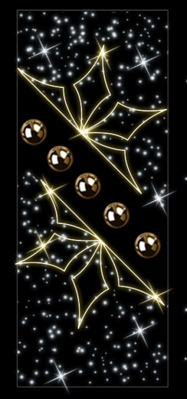 CGS055 - 
